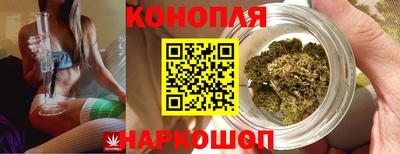 сатива Краснокаменск