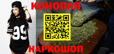 дмт Краснознаменск