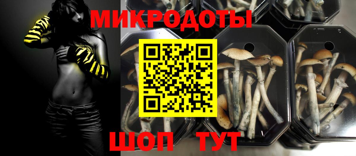 Галлюциногенные грибы прущие грибы Егорьевск